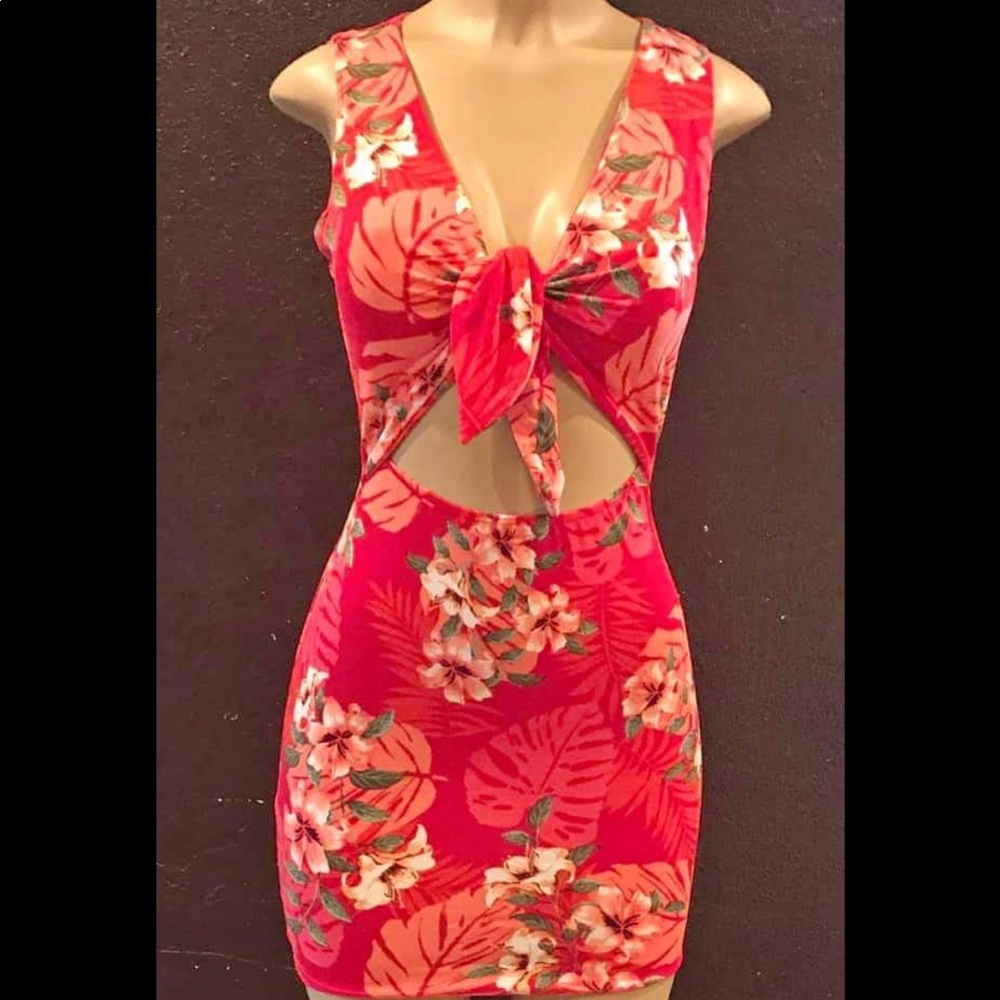 Red or Blue Floral Dress